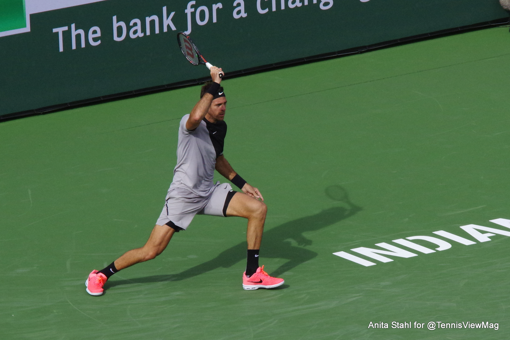 Juan Martin del Potro