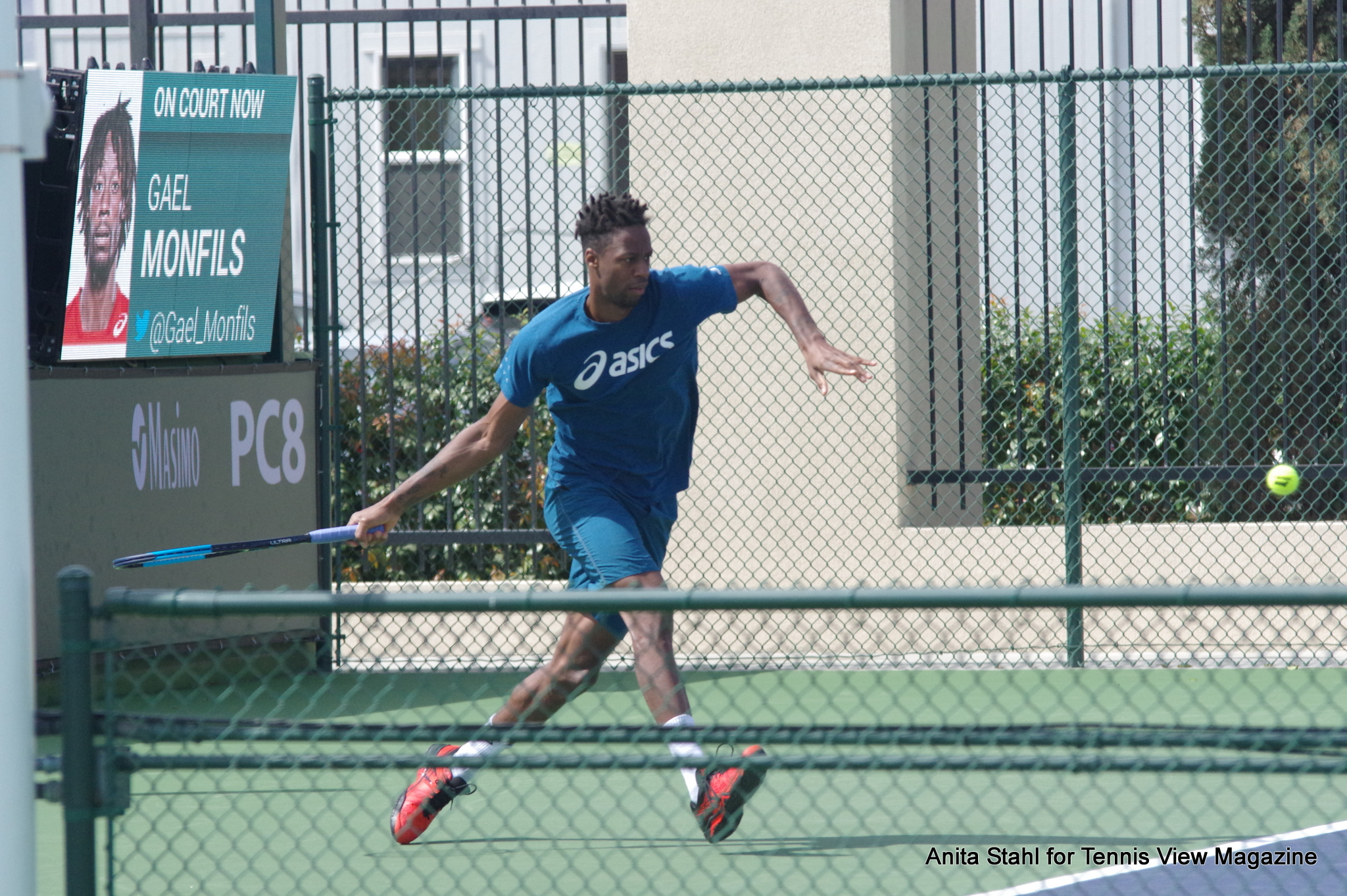 Gael Monfils