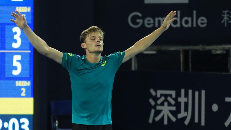 David Goffin