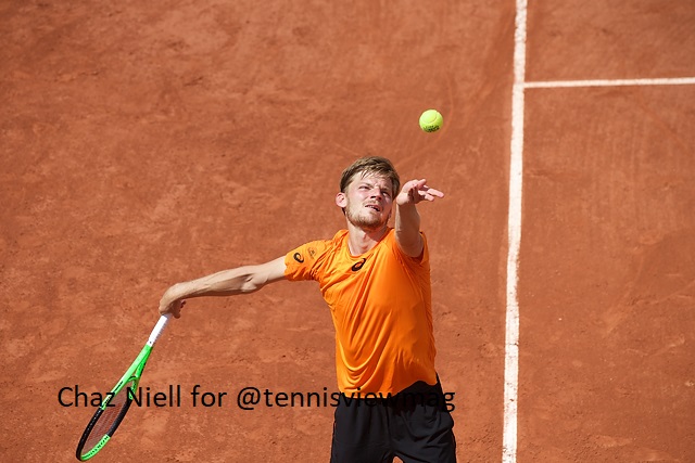 David Goffin