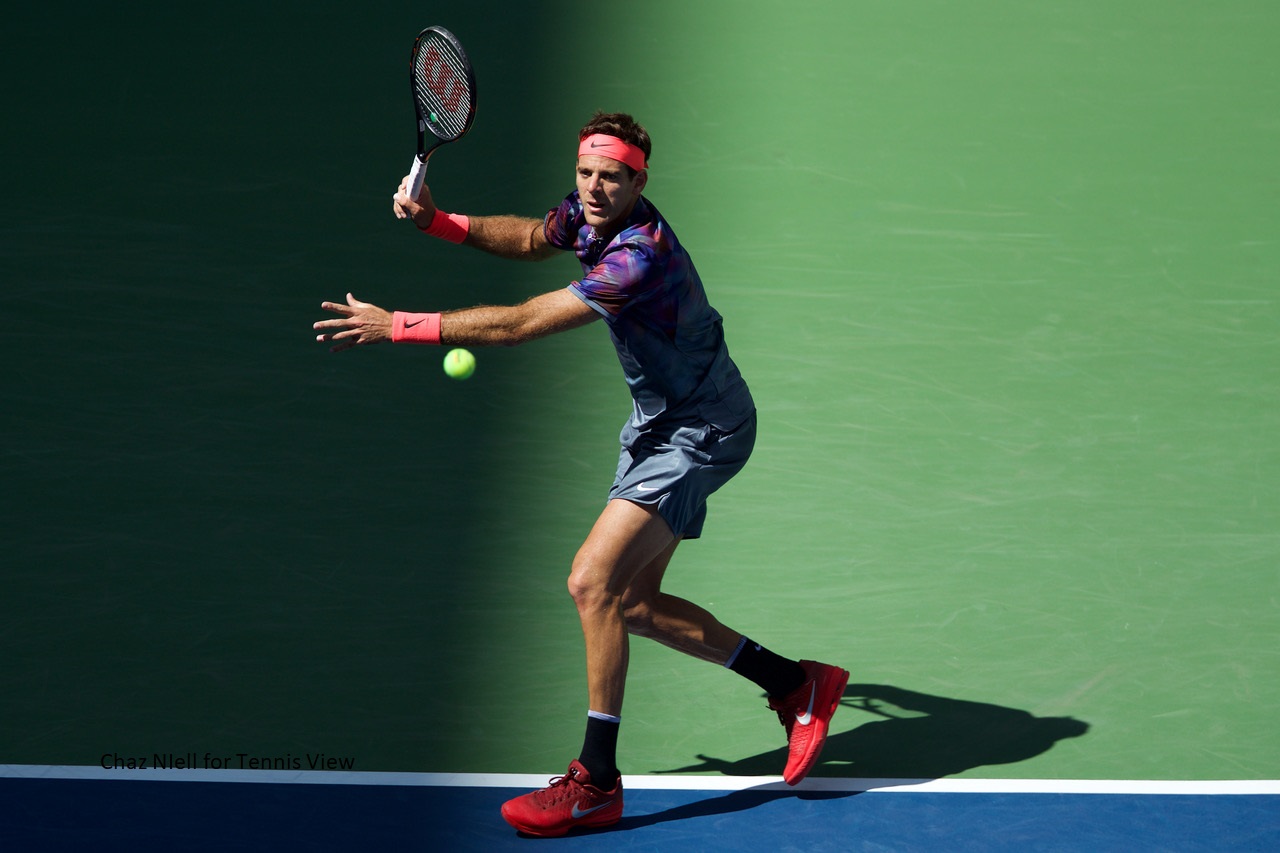 Juan Martin Del Potro Juan Martin Del Potro