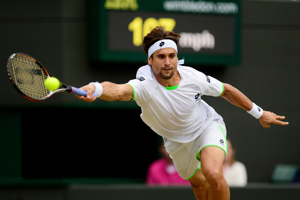 David Ferrer