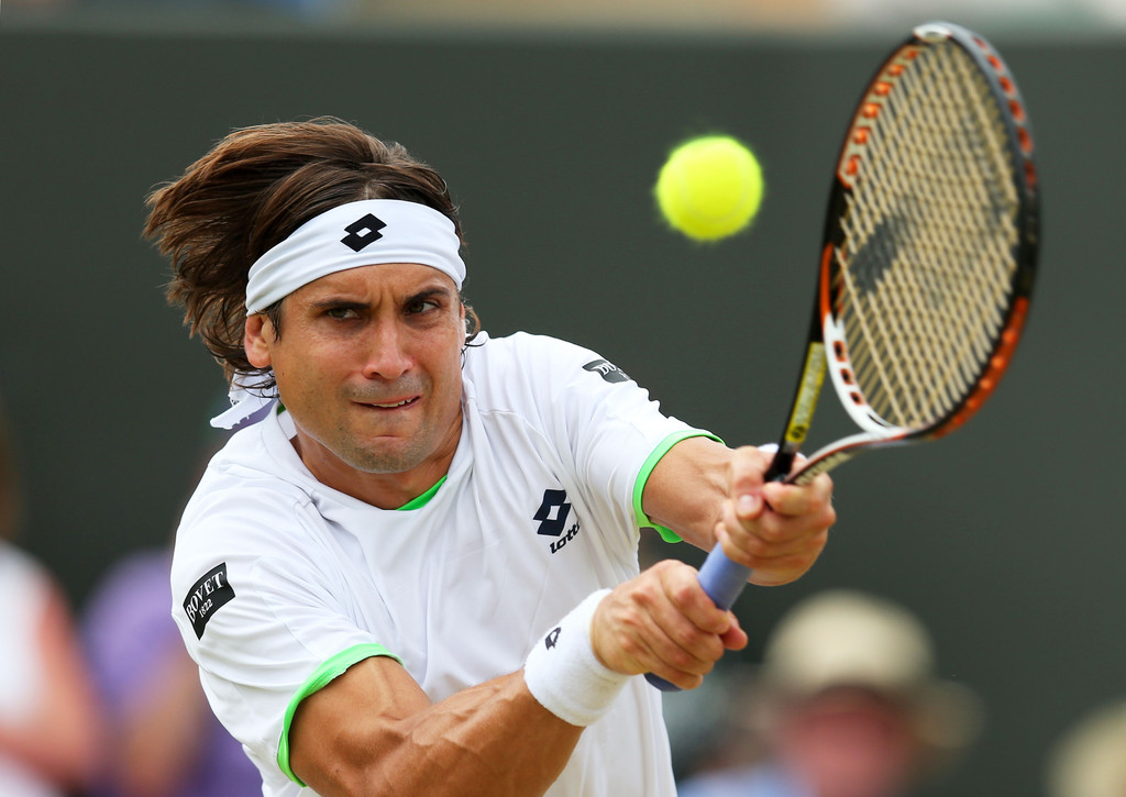 David Ferrer