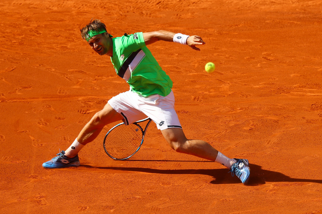 David Ferrer