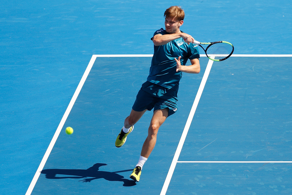 David Goffin