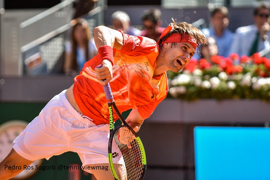 David Ferrer