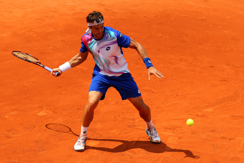 David Ferrer