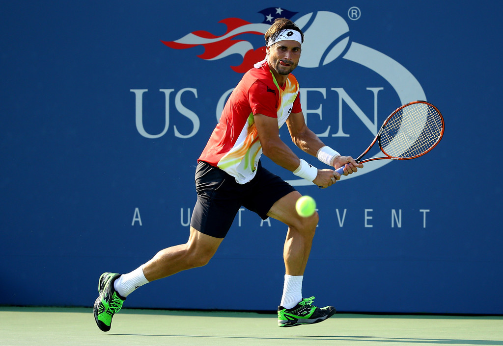 David Ferrer