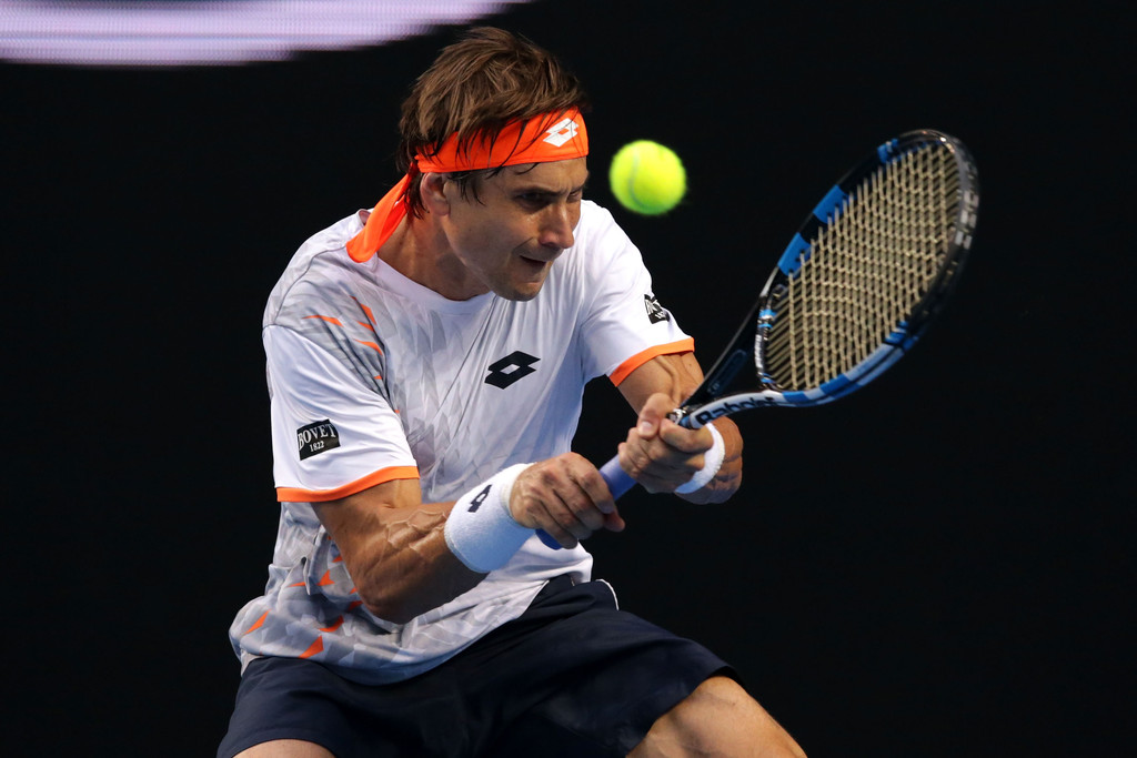 David Ferrer