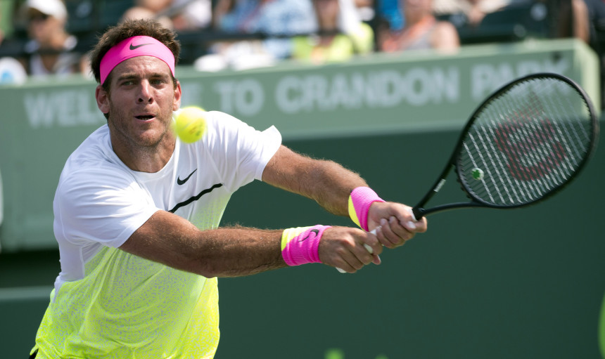 Juan Martin del Potro
