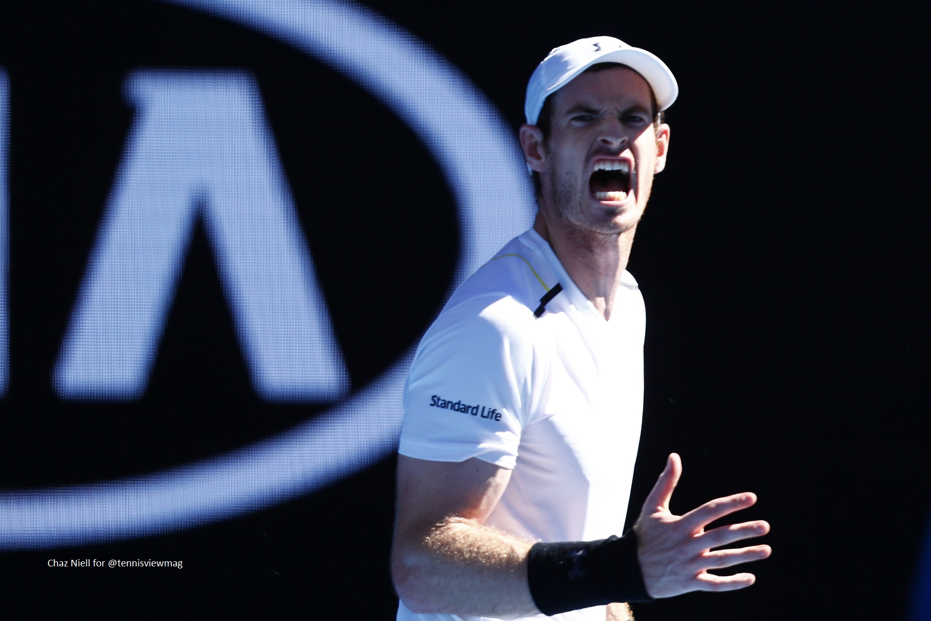 Andy Murray