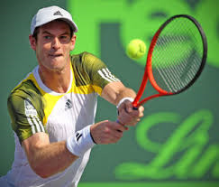 Andy murray