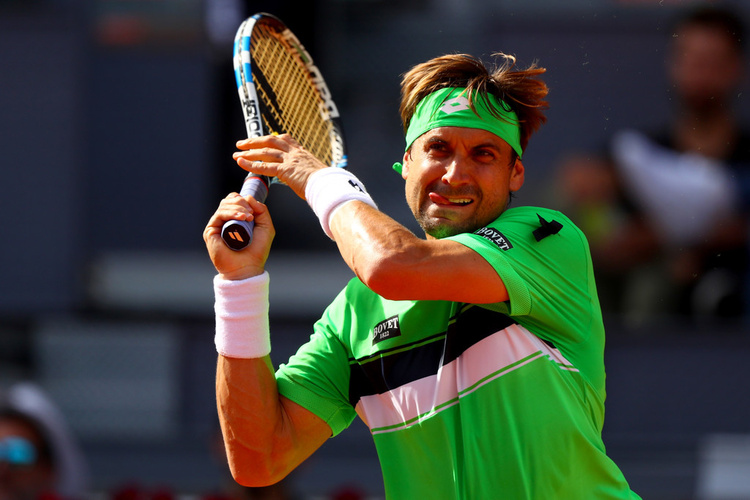 David Ferrer