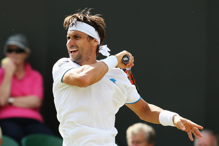 David Ferrer