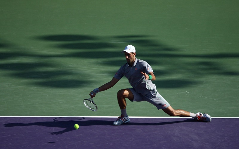 Novak Djokovic Novak Djokovic