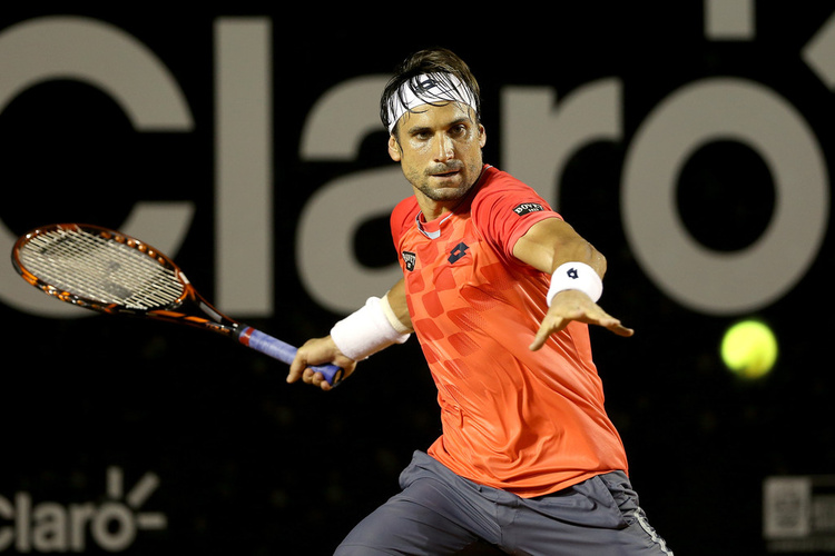 David Ferrer