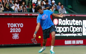 Juan Martin del Potro