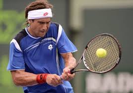 David Ferrer