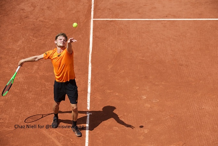 David Goffin