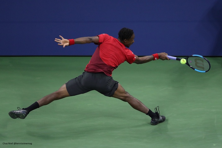 Gael Monfils