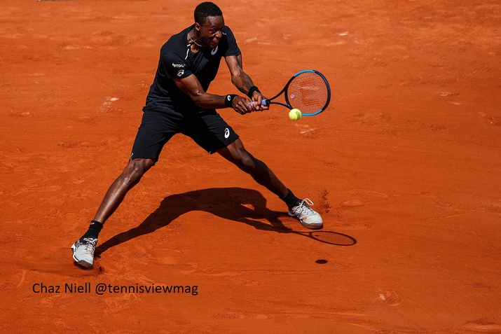 Gael Monfils