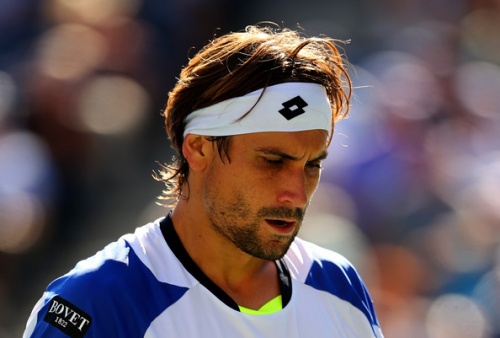 David Ferrer