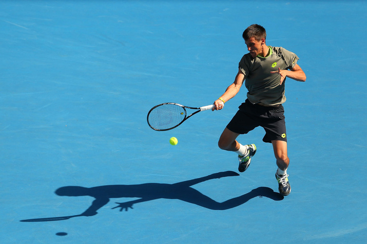 Damir Dzumhur