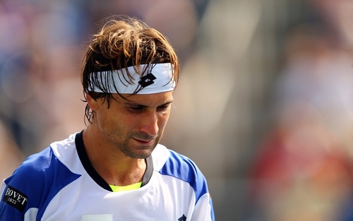 David Ferrer