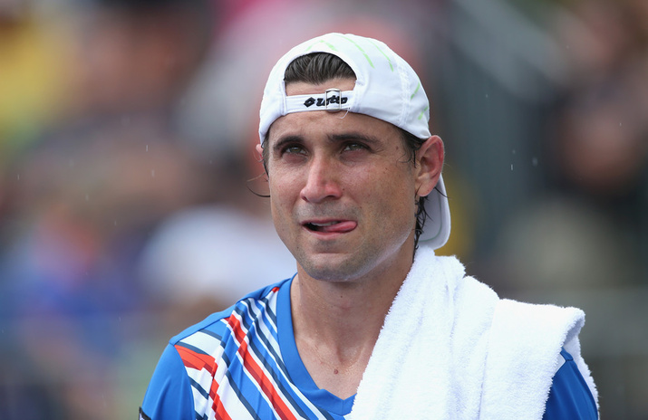 David Ferrer