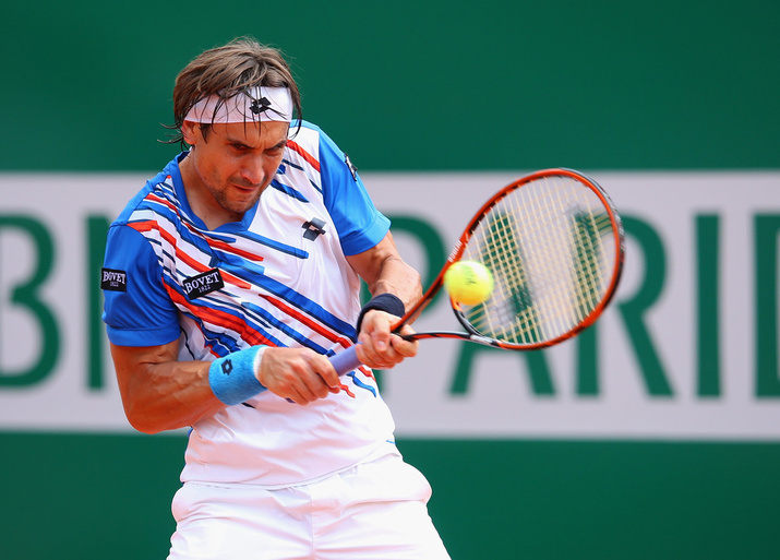 David Ferrer