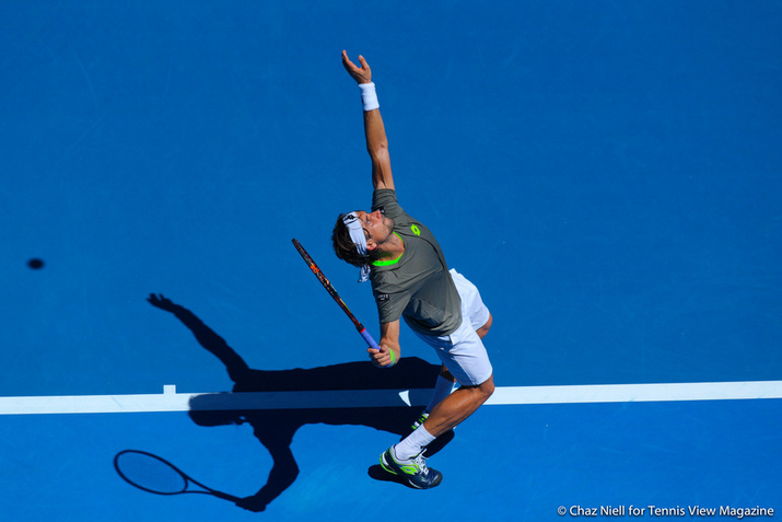 David Ferrer