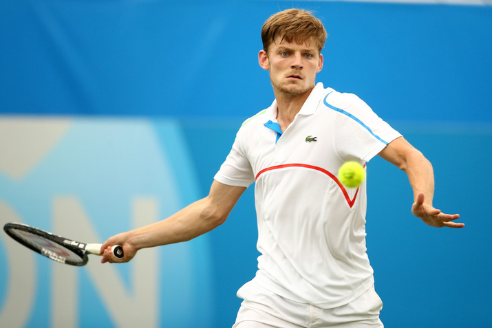 David Goffin