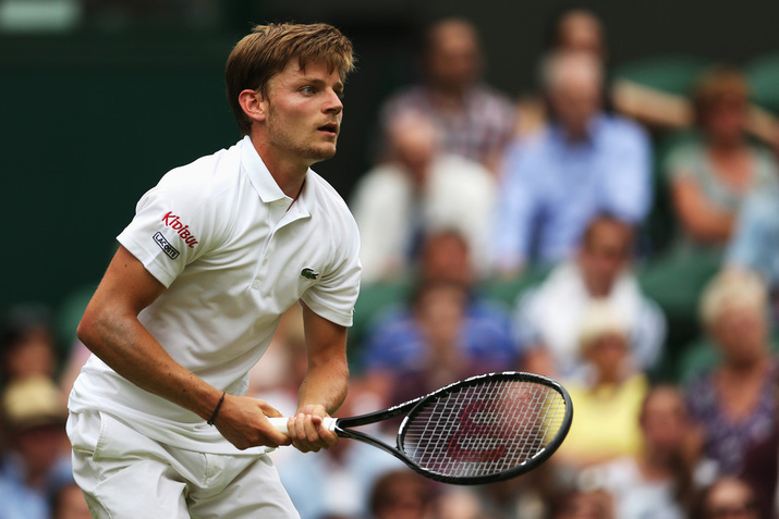 David Goffin