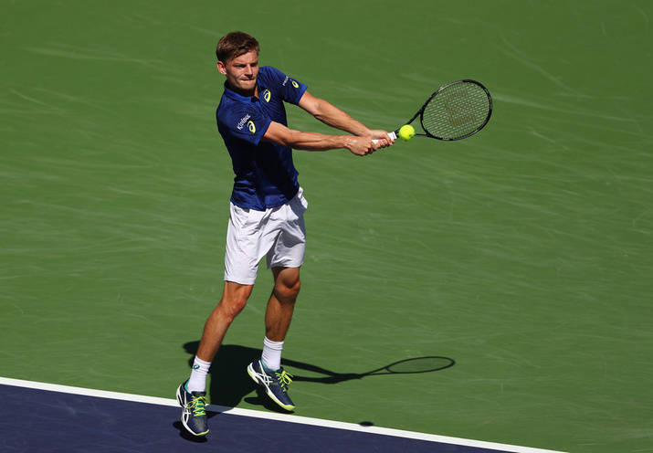 David Goffin