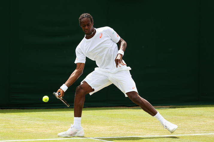 Gael Monfils