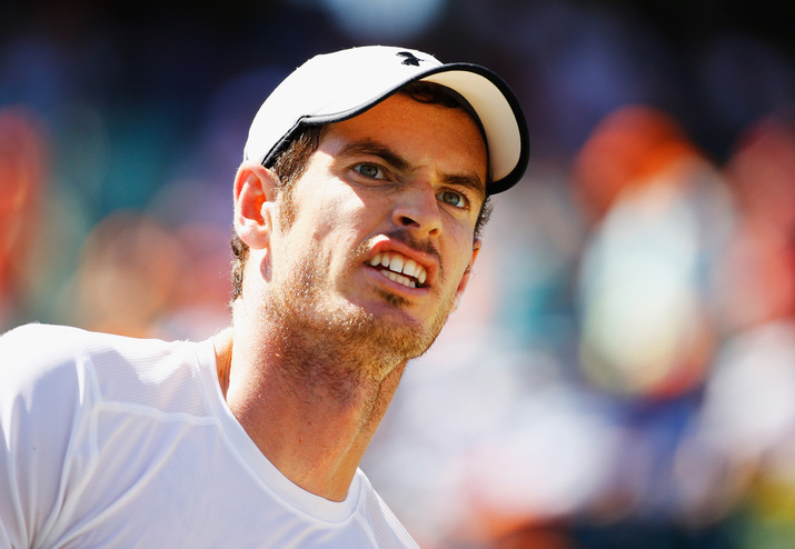 Andy Murray