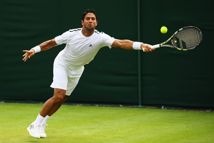 Fernando Verdasco