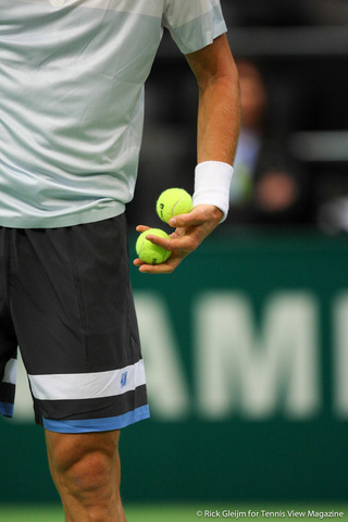 Tomas Berdych Rotterdam 2014
