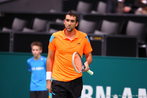 Marin Cilic Rotterdam 2014