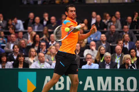 Marin Cilic Rotterdam 2014