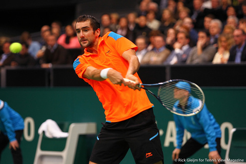 Marin Cilic Rotterdam 2014