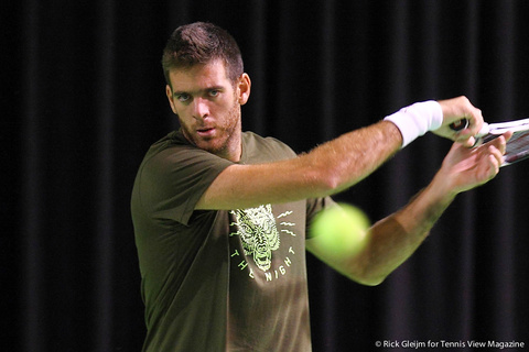 Juan Martin del Potro Rotterdam 2014