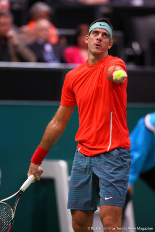 Juan Martin del Potro Rotterdam 2014