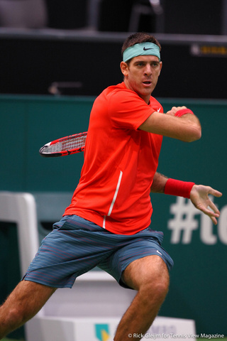 Juan Martin del Potro Rotterdam 2014