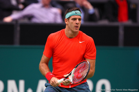 Juan Martin del Potro Rotterdam 2014