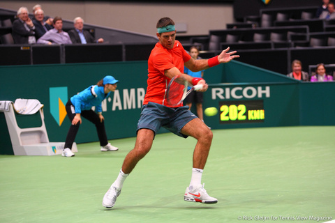 Juan Martin del Potro Rotterdam 2014