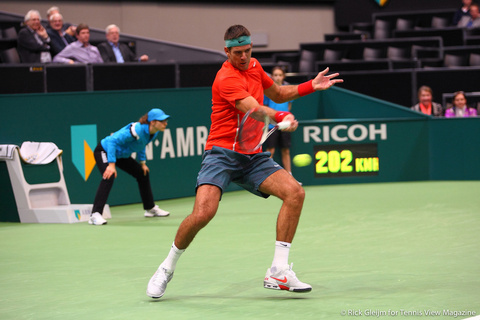 Juan Martin del Potro Rotterdam 2014