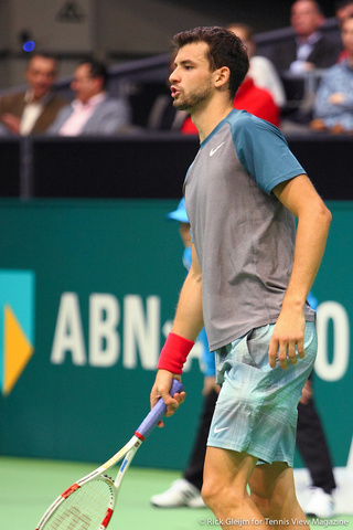 Grigor Dimitrov Rotterdam 2014