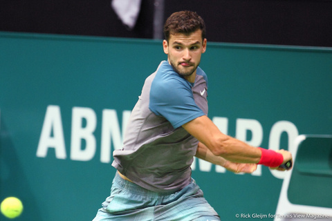 Grigor Dimitrov Rotterdam 2014