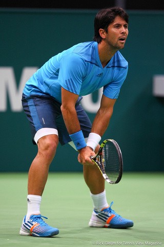 Fernando Verdasco Rotterdam 2014